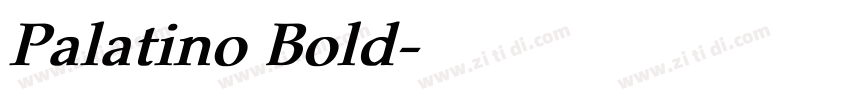 Palatino Bold字体转换